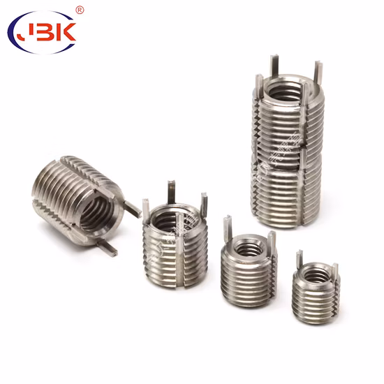 316 M2.5 M20 Micro grandes clés en acier inoxydable verrouillant les Inserts filetés
